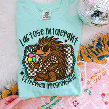 Load image into Gallery viewer, Lactose Intolerant Extremely Irresponsible Porcupine TRANSFER MOON JUNE 25