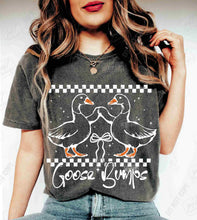Load image into Gallery viewer, Goose Bumps Checkered Coquette Color Dropdown TRANSFER