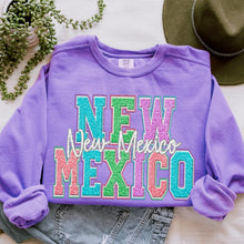 Load image into Gallery viewer, Faux Chenille Pastel States (All 50 states available) DTF TRANSFER