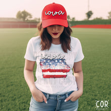 Load image into Gallery viewer, Distressed Flag States (All 50 states available) DTF TRANSFER COR