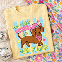 Load image into Gallery viewer, Friends In Low Places Weenie Blue Wavy Stripes TRANSFER UAC MAY 26