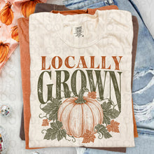 Load image into Gallery viewer, Locally Grown Distressed Sketch Pumpkin And Leaf Vines TRANSFER UAC JULY 26