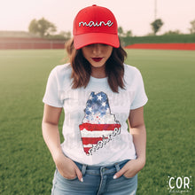 Load image into Gallery viewer, Distressed Flag States (All 50 states available) DTF TRANSFER COR