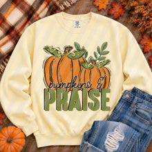 Load image into Gallery viewer, Pumpkins And Praise Double Doodle Pumpkin TRANSFER SDD JUNE 26