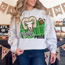 Load image into Gallery viewer, Football Pride Teams DROPDOWN TRANSFER ECHT JUNE