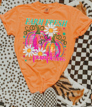 Load image into Gallery viewer, Farm Fresh Pumpkins Pink & Orange With Daisies TRANSFER SCG AUG 26