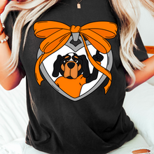 Load image into Gallery viewer, Football Locket Team Dropdown TRANSFER CMD JULY 25