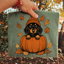 Load image into Gallery viewer, Pumpkin Puppies In Beanies Breed DROPDOWN TRANSFER UAC JULY 26