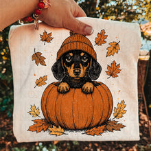 Load image into Gallery viewer, Pumpkin Puppies In Beanies Breed DROPDOWN TRANSFER UAC JULY 26