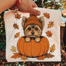 Load image into Gallery viewer, Pumpkin Puppies In Beanies Breed DROPDOWN TRANSFER UAC JULY 26
