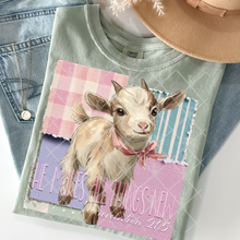 Load image into Gallery viewer, Animal + Sayings Faux Patch Background DROPDOWN TRANSFER THREAD FEB 26