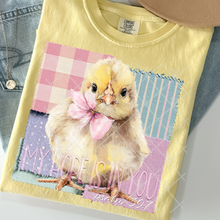 Load image into Gallery viewer, Animal + Sayings Faux Patch Background DROPDOWN TRANSFER THREAD FEB 26