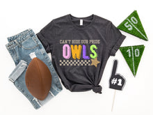 Load image into Gallery viewer, Can’t Hide Our Pride Mascots DROPDOWN TRANSFER PHAT