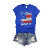 Load image into Gallery viewer, Normal Isn’t Coming Back Flag SOFT SCREEN