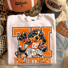Load image into Gallery viewer, Preppy Go Mascot DROPDOWN TRANSFER VIRGO EM 26
