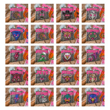 Load image into Gallery viewer, Starstruck Mascot DROPDOWN TRANSFER KAYNDI AUG 26
