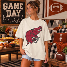 Load image into Gallery viewer, Bigs Football Mascots DROPDOWN TRANSFER Game Grace OCT 26
