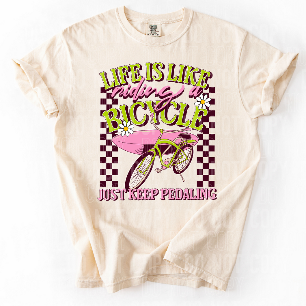 Life Is Like Riding A Bicycle TRANSFER SBB MAR