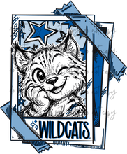 Load image into Gallery viewer, Cutie Patooties Mascots DROPDOWN TRANSFER HOOPLA MAY 26
