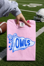 Load image into Gallery viewer, Blue Gingham Bow Pennant Owls TRANSFER ET
