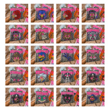 Load image into Gallery viewer, Starstruck Mascot DROPDOWN TRANSFER KAYNDI AUG 26
