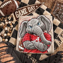 Load image into Gallery viewer, Sports Scribble Mascots DROPDOWN TRANSFER KAI OCT 26
