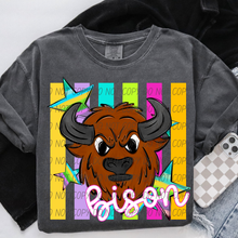 Load image into Gallery viewer, Neon Stripes Mascots DROPDOWN TRANSFER CSD APR 26
