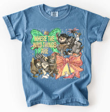 Load image into Gallery viewer, Coquette Story Time DROPDOWN TRANSFER SSD MAR 26 | COQUETTE STORYTIME COLLAB SSD X RHD
