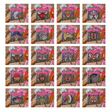 Load image into Gallery viewer, Starstruck Mascot DROPDOWN TRANSFER KAYNDI AUG 26
