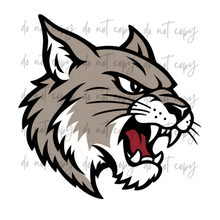 Load image into Gallery viewer, Front Or Side Logo Sports Custom Name Mascot DROPDOWN DTF TRANSFER
