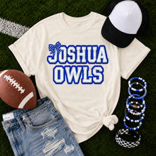 Load image into Gallery viewer, Ruffle Joshua Owls Bow TRANSFER ET AUG 26
