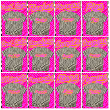 Load image into Gallery viewer, Prism Script Mascots DROPDOWN TRANSFER KAYNDI AUG 26
