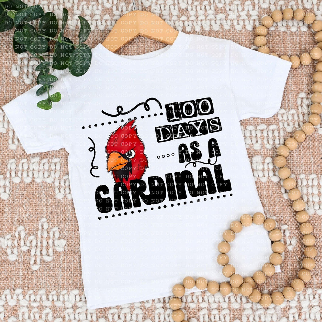 100 Days As A Cardinal TRANSFER