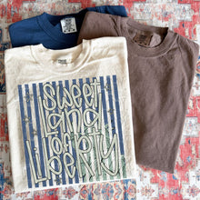 Load image into Gallery viewer, 4th Of July Sayings Stripes TRANSFER SWD APR 26
