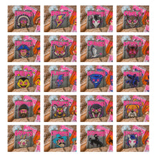 Load image into Gallery viewer, Starstruck Mascot DROPDOWN TRANSFER KAYNDI AUG 26
