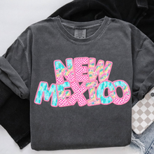 Load image into Gallery viewer, Spring States(all 50 states available) TRANSFER CSD APR 25
