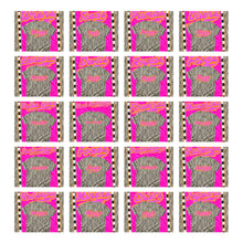 Load image into Gallery viewer, Prism Script Mascots DROPDOWN TRANSFER KAYNDI AUG 26
