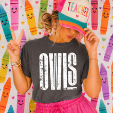 Load image into Gallery viewer, White Distressed Owls Tall Letters TRANSFER ET
