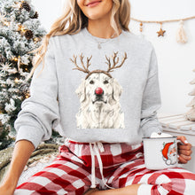 Load image into Gallery viewer, Christmas Red Nose Antler Dogs Dropdown TRANSFER
