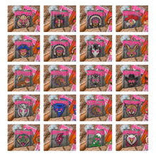Load image into Gallery viewer, Starstruck Mascot DROPDOWN TRANSFER KAYNDI AUG 26
