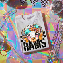 Load image into Gallery viewer, Pink Teal Gold Glitter Checker Mascots Dropdown TRANSFER CST JUNE
