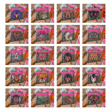 Load image into Gallery viewer, Starstruck Mascot DROPDOWN TRANSFER KAYNDI AUG 26
