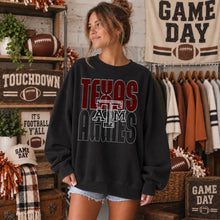 Load image into Gallery viewer, Double Line Varsity Logo Mascot DROPDOWN TRANSFER Strut 26
