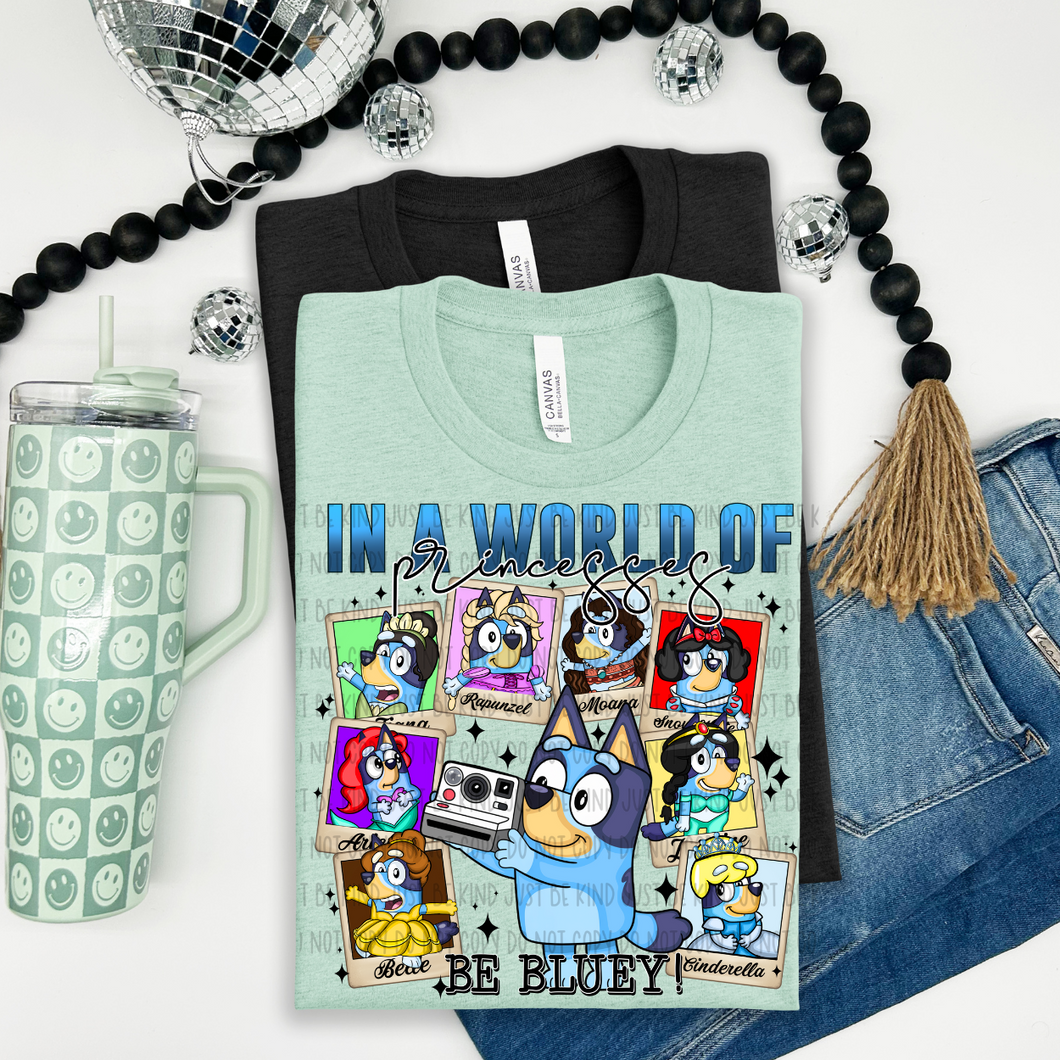 In A World Full Of Princesses Be A Character Dropdown TRANSFER SSD MAY 25