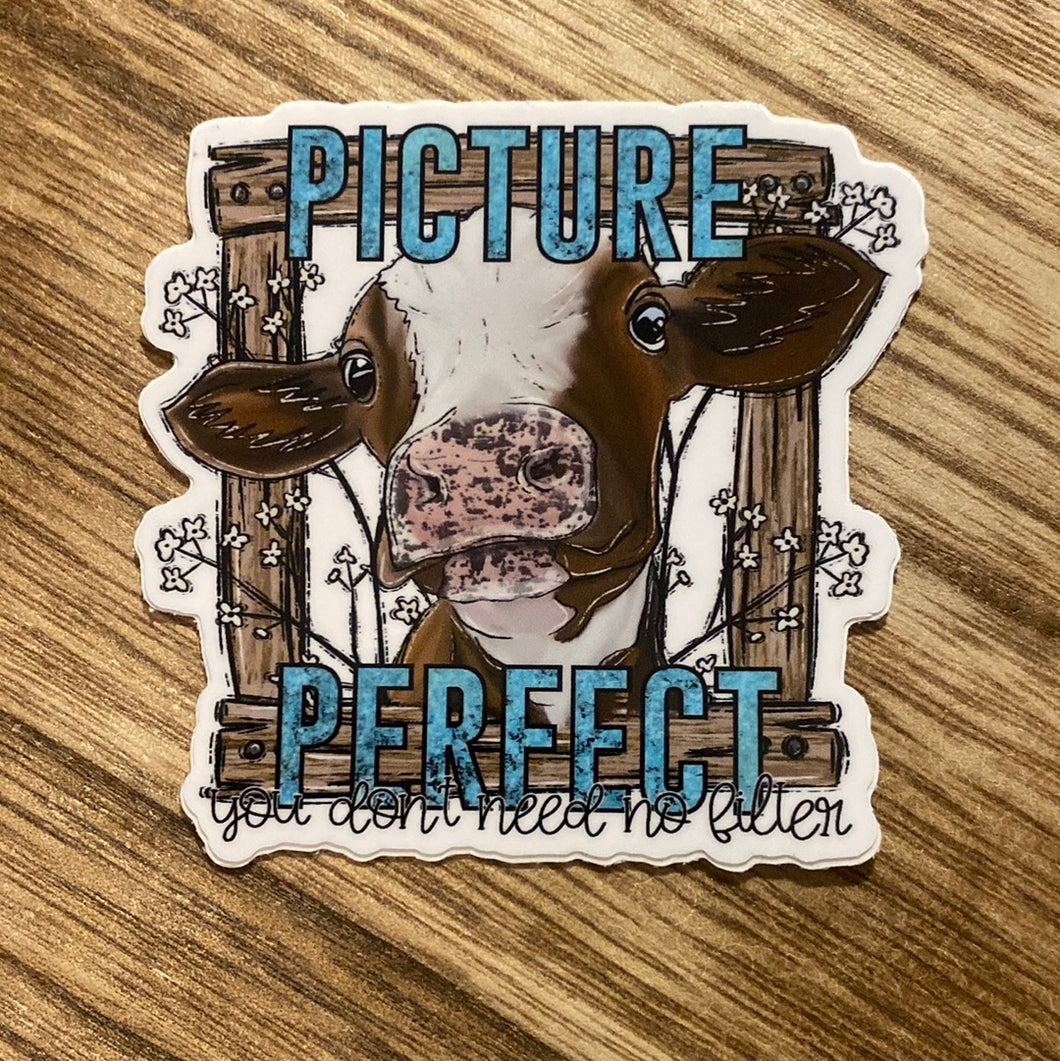 Picture Perfect VINYL STICKER