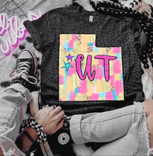 Load image into Gallery viewer, Preppy Bright Brushstroke States (all 50 states available) TRANSFER CAP APR
