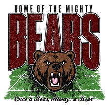 Load image into Gallery viewer, Mighty Football Mascots TRANSFER CYBER JUNE 26
