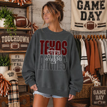 Load image into Gallery viewer, Double Line Varsity Logo Mascot DROPDOWN TRANSFER Strut 26
