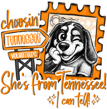 Load image into Gallery viewer, Choosin They’re From Mascot DROPDOWN  TRANSFER HAYLIN MAY 26
