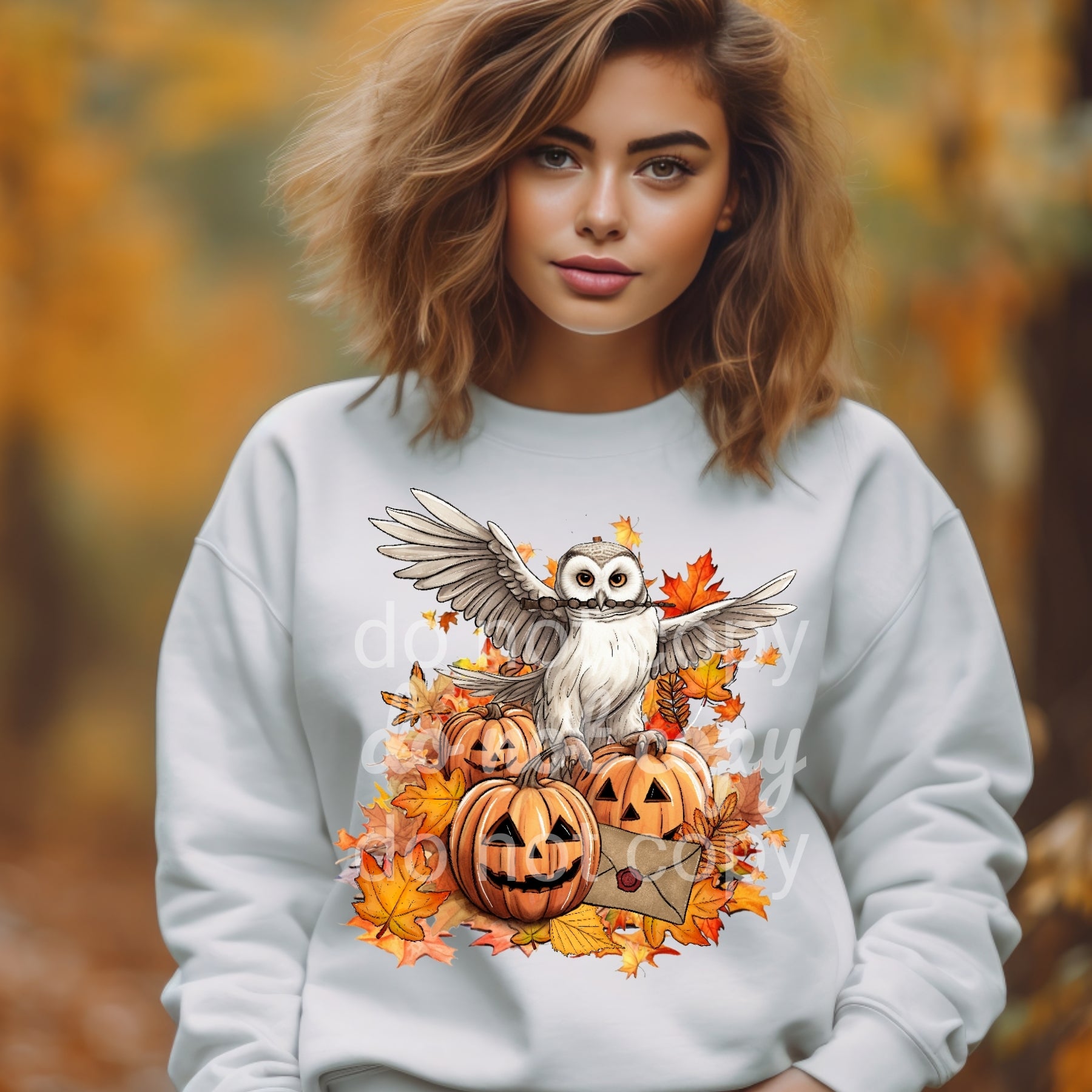 Hedwig Jack-O-Lantern TRANSFER – Sassy Sublimation & Screen Prints